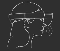 voice interact